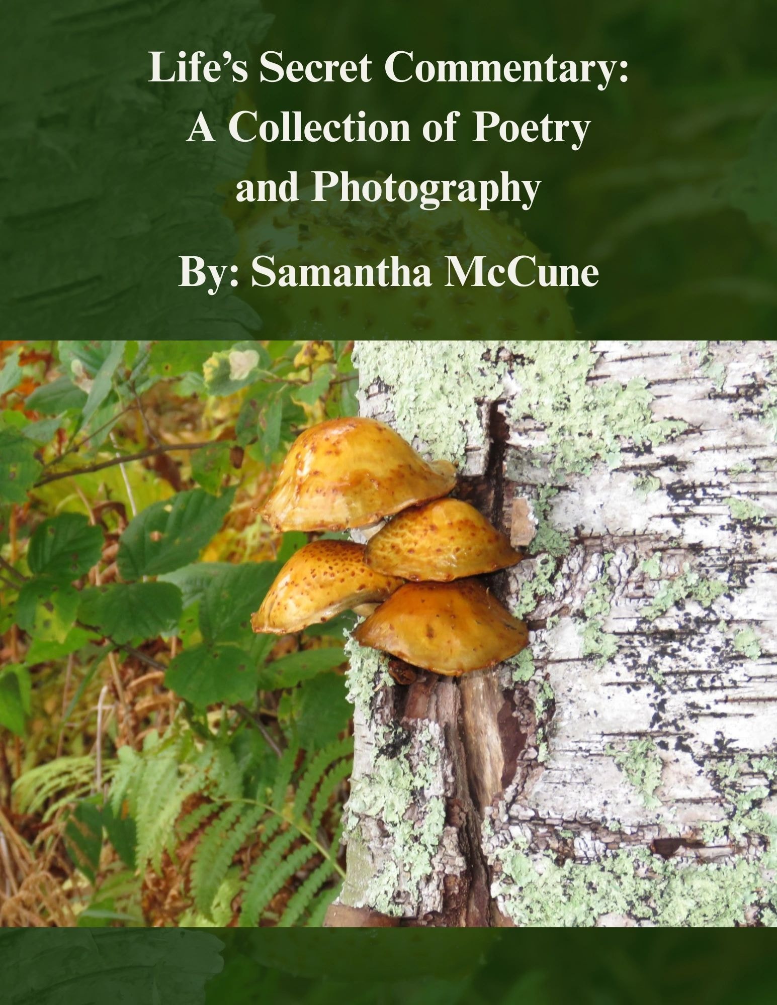 Life's Secret Commentary: A Collection of Poetry and Photography By: Samantha McCune